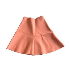 Zara Pink Circle Skirt